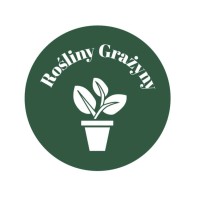 Travi - strona główna